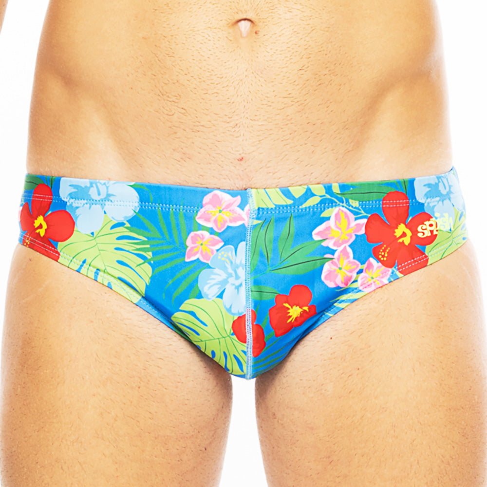 Blue Hawaii Zuma Brief